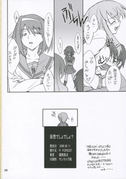 Page 25 of Mousou Desho Desho?