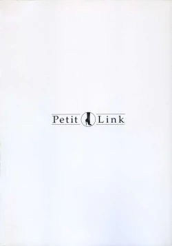 Page 100 of Petit Link 2