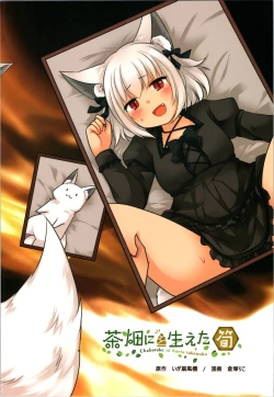 Page 44 of Ippan Heishi Akira ga Shitennou Tamamo wo Tsukaima ni Dekita Wake