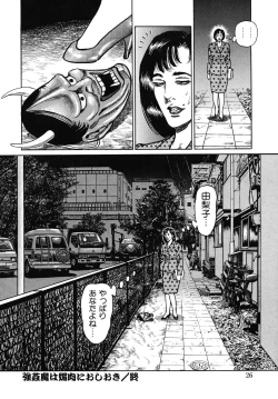 Page 26 of Shukujo Nureirozukushi