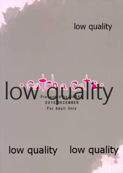 Page 18 of catch a cat