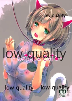 Page 1 of catch a cat