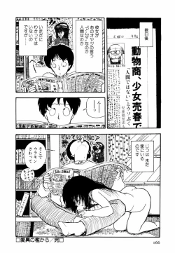 Page 164 of Toraware Penguin