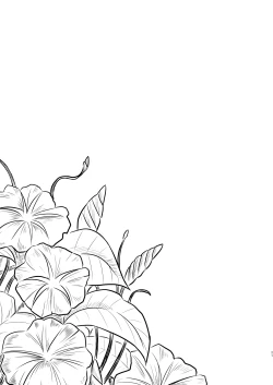 Page 20 of Hikari no Kimi no Saganaki Keikaku <Yuugao>