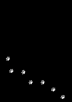 Page 2 of Kuroneko to Sensei