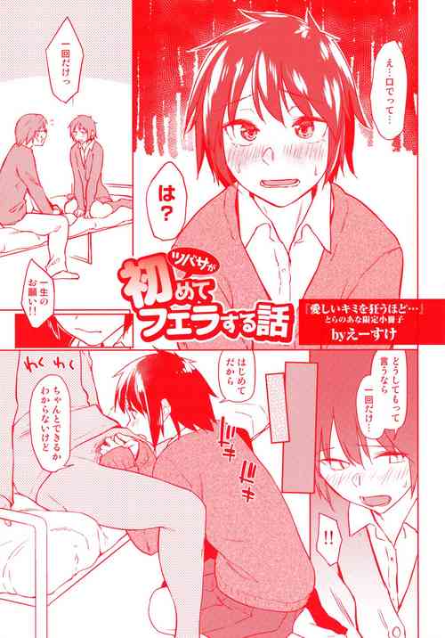 Download Itoshii Kimi wo Kuruu Hodo Toranoana Gentei 4P Leaflet Tsubasa ga Hajimete Fera suru Hanashi