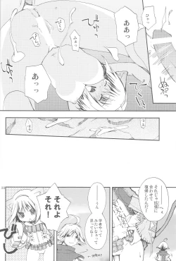 Page 21 of Vana'diel Trimyuhn Retry