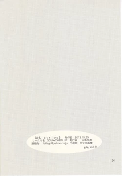 Page 33 of stripe3