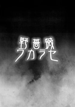 Page 17 of Nobara Wakarase | Wild Rose Wakarase