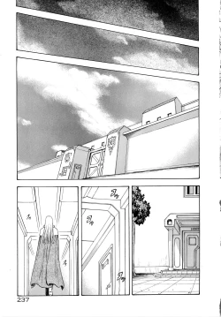 Page 243 of Ginryuu no Reimei Vol.4