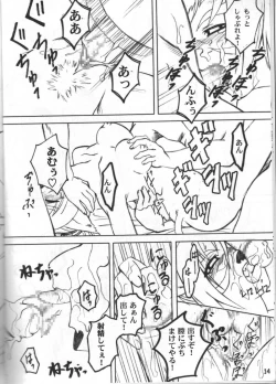 Page 13 of Spezialsitat