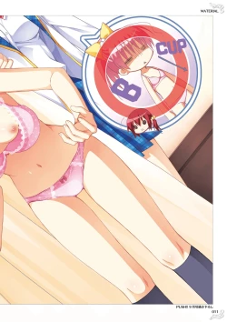 Page 13 of NobleWorks Official Visual Fanbook