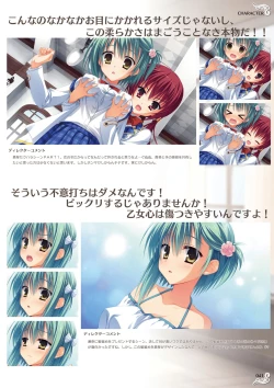 Page 43 of NobleWorks Official Visual Fanbook