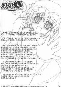 Page 4 of なかだされて幻想卿 Phantasm