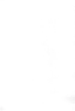 Page 15 of Shinsekai Chitsujo new world order