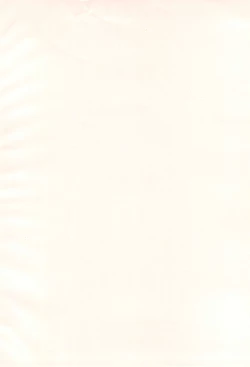 Page 4 of Bx2 Queens