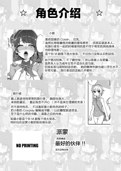 Page 5 of Raiden Shogun Gekini Cosplayerga Fukei sugiru Ken ni Tsuite