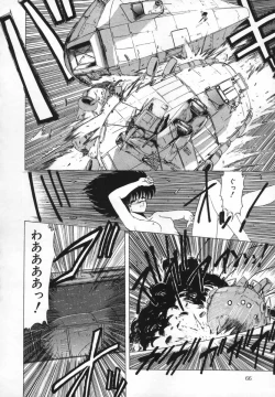 Page 69 of FLYING APPLE