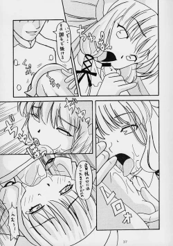 Page 36 of Kenko Daiichi