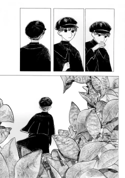 Page 12 of Warau Camellia