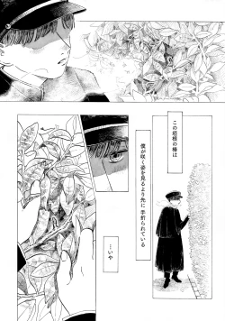 Page 2 of Warau Camellia
