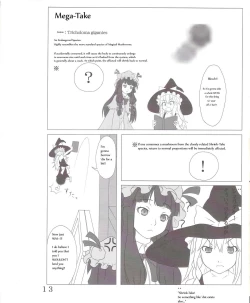 Page 13 of Touhou Super DreadnaughtGirl English