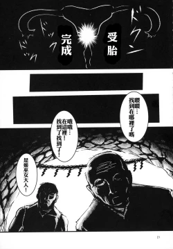 Page 21 of Himikaden