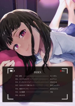 Page 4 of Teiten Kansoku II