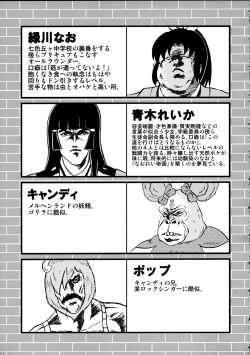 Page 4 of SAKIGAKE NANAIROGAOKASI CHUUGAKOU