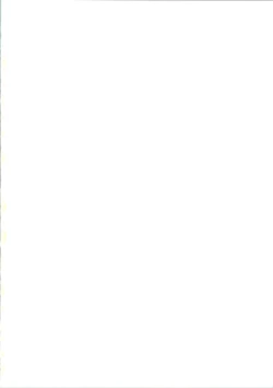 Page 2 of Nuku² Rev.4