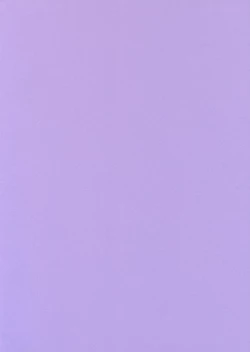 Page 31 of Negi Magic