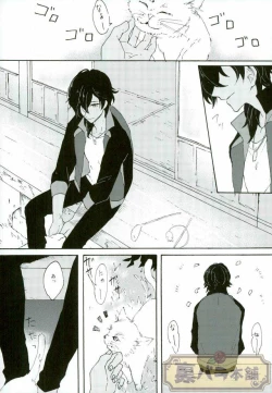 Page 5 of Matatabi Switch