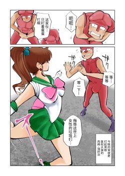 Page 19 of Nabutte! Sailor Senshi-sama