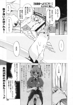 Page 262 of COMIC Megastore 2010-03