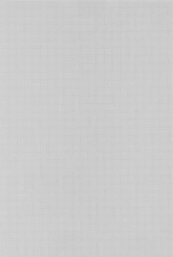 Page 2 of Chougi-kun wa Rikon o Ganbareba Ganbaru hodo Shiawase ni Naru