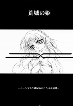 Page 30 of BATTLE OVER ALEFGARD