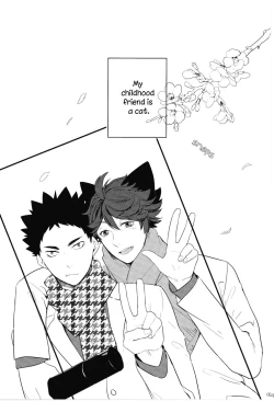 Page 4 of IwaChan’s Cat