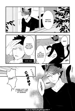 Page 4 of Iwa-chan no Neko ni Naritai 2