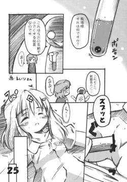 Page 24 of Tsurupeta Kenkyuu Houkokusho "Kakyuu Sentou In no Isshou" - Turupeta Research Report