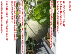 Page 45 of Nyotaika NTR Maso no Monogatari