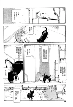 Page 77 of Kaineko