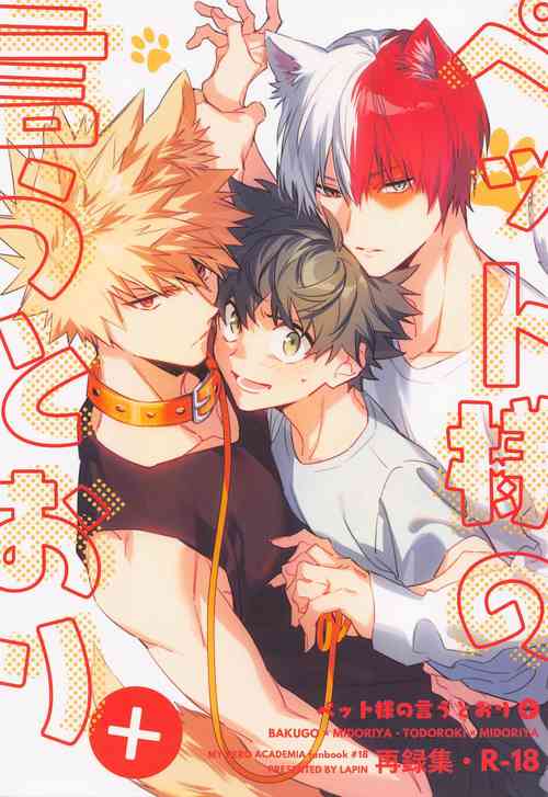 Download Pet-sama no Iu toori +