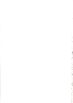 Page 31 of Kanzen Nenshou