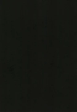 Page 19 of Seichishiki 0 no Mazoku