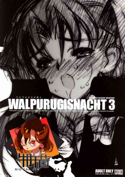 Download Walpurugisnacht 3 / Walpurgis no Yoru 3