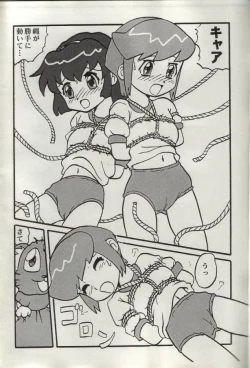 Page 6 of Sasamisa Ver.34