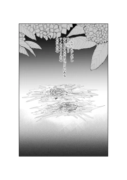 Page 14 of Katatsumuri