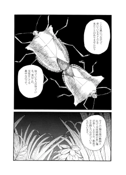 Page 2 of Shiriizu Kamemushi
