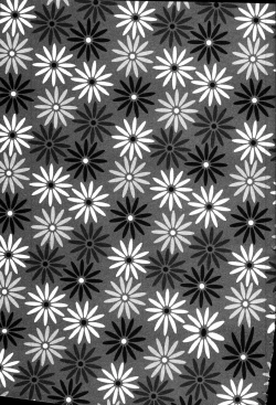 Page 204 of Himitsuna Okusama