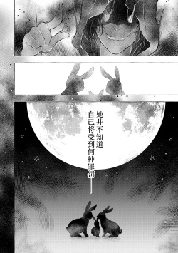Page 4 of Nyancology11san to Himitsu no Apart Ouse-